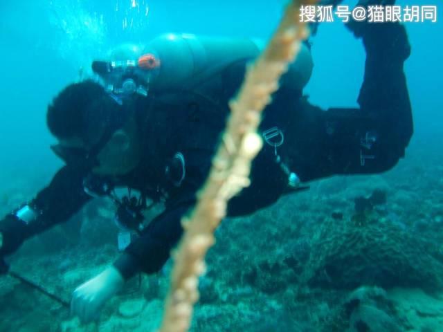我一个好朋友三薯五次问我借钱？游戏画面