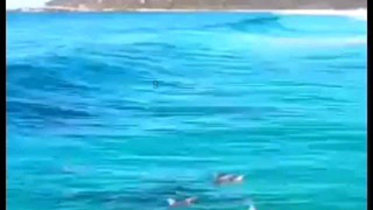 铁甲战神